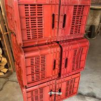 15 casse per uva da vendemmia sovrapponibili