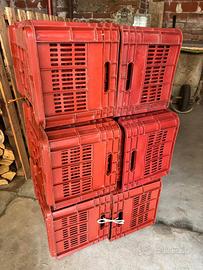 15 casse per uva da vendemmia sovrapponibili