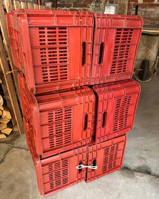 15 casse per uva da vendemmia sovrapponibili