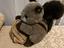 Immagine 1