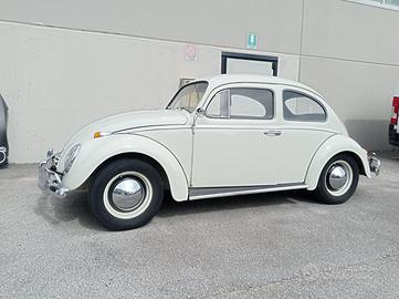 W. MAGGIOLINO 1962