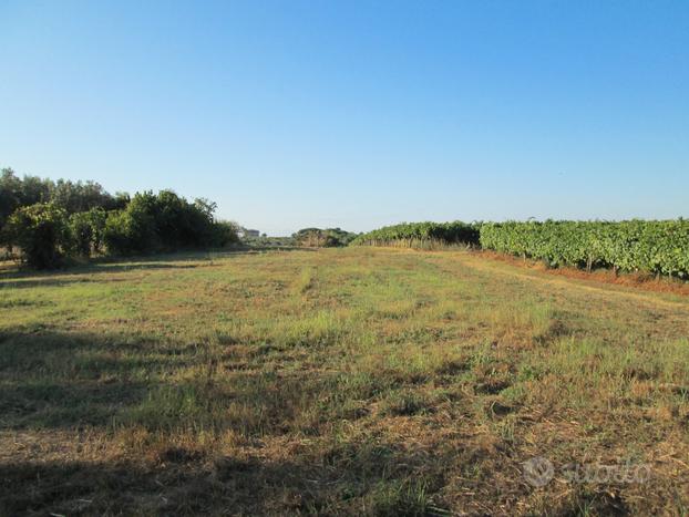 Terreno agricolo