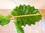 Immagine 6
