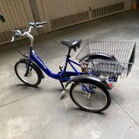 Bicicletta elettrica