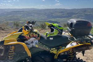 Can am Renegade  500
