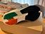 Immagine 3
