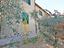 Immagine 14