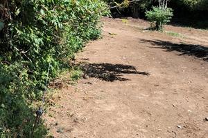 Terreno agricolo