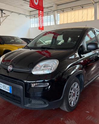 Fiat Panda 1.0 firefly hybrid City Life s&s 70cv 5