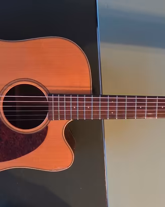 Chitarra 6 corde Cort con custodia