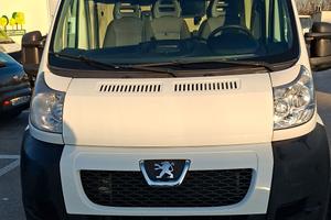 peuget boxer