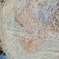 Fieno x cavalli consegna a domicilio