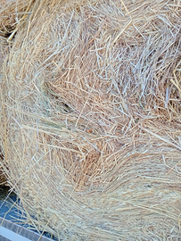 Fieno x cavalli consegna a domicilio