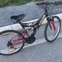 Bici 26