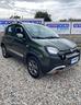 fiat-panda-cross-1-3-mjt-95-cv-s-s-4x4