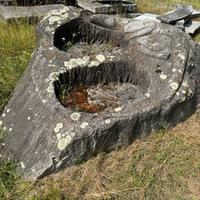 Fontana con 2 vasche e scolpita un’iguana