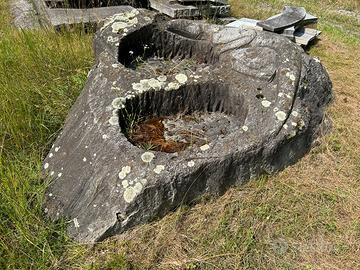 Fontana con 2 vasche e scolpita un’iguana