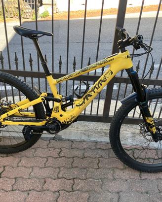 Specialized kenevo sl