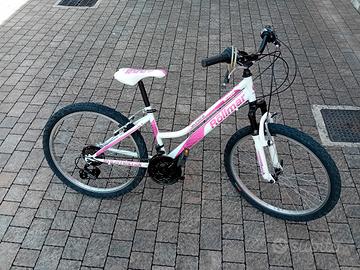 mountain bike rollmar