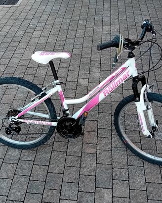 mountain bike rollmar
