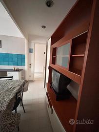 Trilocale arredato con terrazza