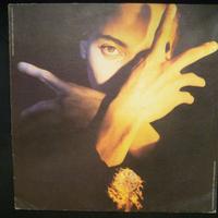 Terence Trent Darby - Neither Fish nor Flesh VINYL