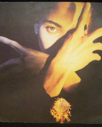 Terence Trent Darby - Neither Fish nor Flesh VINYL