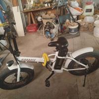 Bicicletta elettrica Ebike Garante pedalata assist