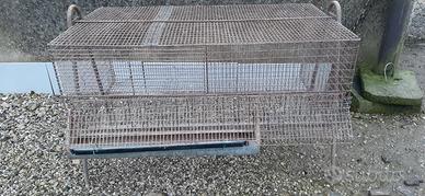 Voliera per pulcini colombi ecc.