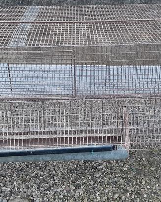 Voliera per pulcini colombi ecc.