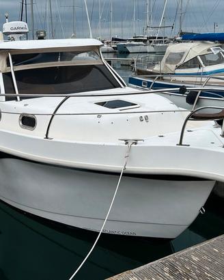 PHAROS T-TOP 80 + 2x150hp HONDA (TUTTO 2011)