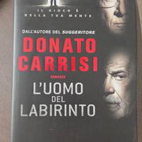 Donato Carrisi,L'uomo del labirinto
