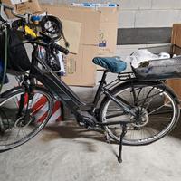 Bici Elettrica Torpado ERA  T-211