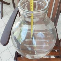 boccione terrarium plantarium