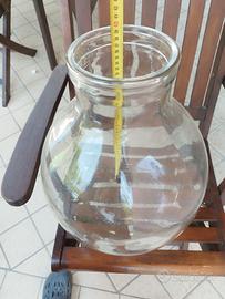 boccione terrarium plantarium