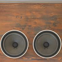 Coppia woofer Pioneer 20-B03A