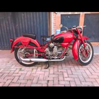 Falcone sport 500