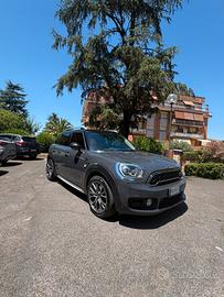 Mini countryman s
