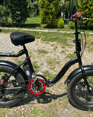 Bici Fat Bike