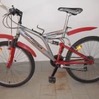 Mountain bike