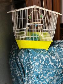 gabbia forma di casa