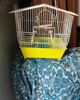 gabbia forma di casa