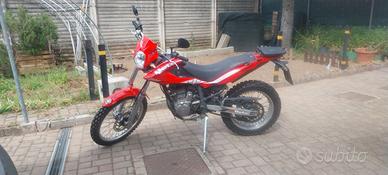 beta alp 4.0
