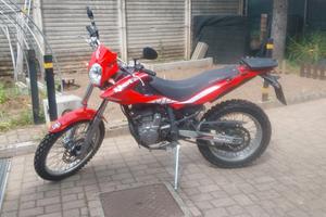 beta alp 4.0