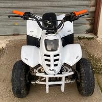 Quad 110cc ruota 6 doppio freno