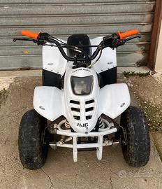 Quad 110cc ruota 6 doppio freno