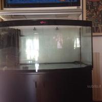 Acquario marino professionale
