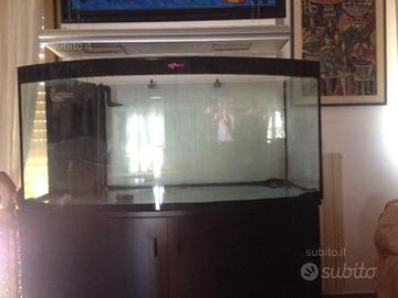 Acquario marino professionale
