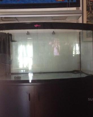 Acquario marino professionale