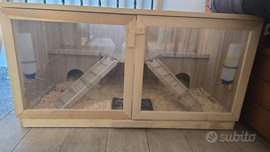 Gabbia e riccio tutto incluso
